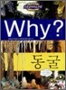 Why? 와이 동굴