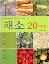 채소 20가지