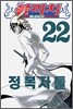 블리치 BLEACH 22