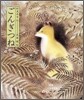 ごんぎつね