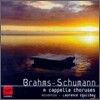 Accentus 브람스 / 슈만: 합창곡 (Brahms / Schumann: A Cappella Choruses)