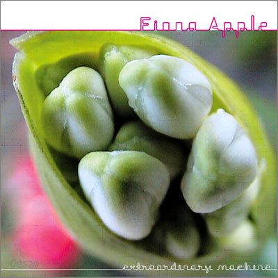 Fiona Apple - Extraordinary Machine