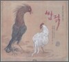 쌈닭