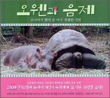 오웬과 음제