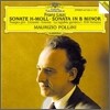 Maurizio Pollini 리스트: 피아노 소나타 b단조 - 마우리치오 폴리니