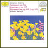 Wilhelm Kempff 브람스: 환상곡, 전주곡 (Brahms: Piano Works Opp. 116-119)