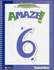 Amaze! 6 : Teacher's Guide - A Mind Trip to Grammar and Vocabulary