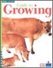 Four Corners Early #22 : Guide to Growing
