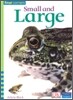 Four Corners Early #37 : Small and Large