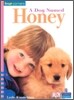 Four Corners Emergent #3 : A Dog Named Honey