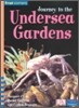 Four Corners Fluent #53 : Journey to the Undersea Gardens