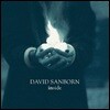 David Sanborn - Inside