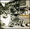 Billy Bragg & Wilco (빌리 브랙 & 윌코) - Mermaid Avenue Vol.II