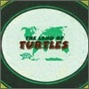 거북이 (Turtles) - 베스트 : The Land of Turtles