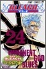 BLEACH ブリ-チ 24