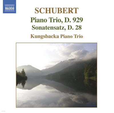 Kungsbacka Piano Trio 슈베르트: 피아노 삼중주 (Schubert: Piano Trio, D.929, Sonatensatz, D.28) 