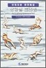 상황별 포즈집 4. Lying poses (a)