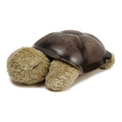 Twilight Turtle
