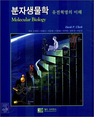 분자생물학 Molecular Biology