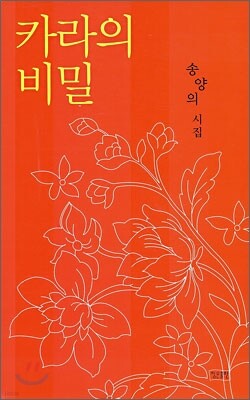 카라의 비밀