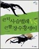 큰턱 사슴벌레 vs 큰뿔 장수풍뎅이