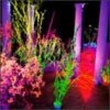 Husker Du - Wharehouse: Songs & Stories