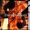 David Sanborn - The Best Of David Sanborn