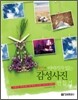 레아의 이야기가 있는 감성사진 만들기