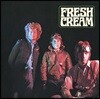 Cream - Fresh Cream