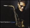 David Sanborn - Timeagain