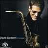 David Sanborn - Timeagain