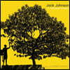 Jack Johnson - In Between Dreams [LP]