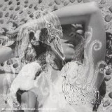 Bjork - Vespertine: Surrounded
