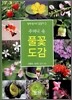 주머니 속 풀꽃 도감