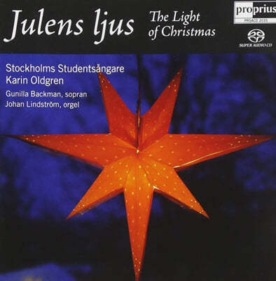 Gunilla Backman 크리스마스의 빛 (Julens Lius - The Light of Christmas)