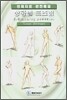 상황별 포즈집 5. Standing poses (b)