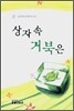 상자 속 거북은