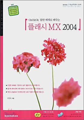 플래시 MX 2004