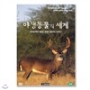 야생동물의 세계 13