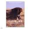 야생동물의 세계 11