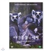 야생동물의 세계 9