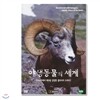 야생동물의 세계 8