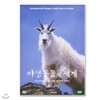 야생동물의 세계 7