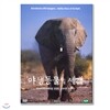 야생동물의 세계 6