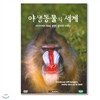 야생동물의 세계 3