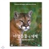 야생동물의 세계 1