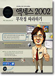 액세스 2002