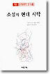 소설의 현대 시학