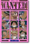 One Piece 원피스 외전