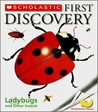 Ladybugs and Other Insects
